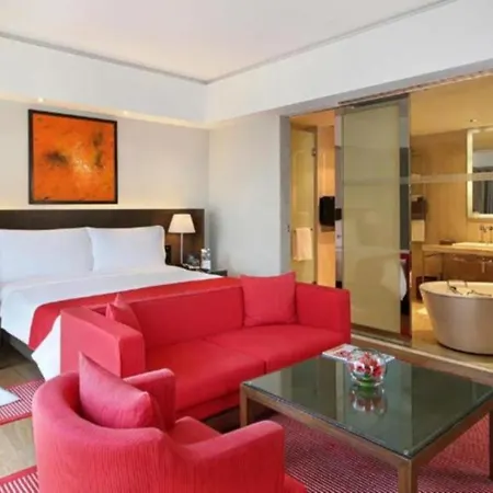Hotel Luxury Villa Near Delhi Airport-3